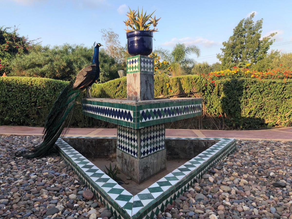 Riad Hamdani Derroua Bagian luar foto