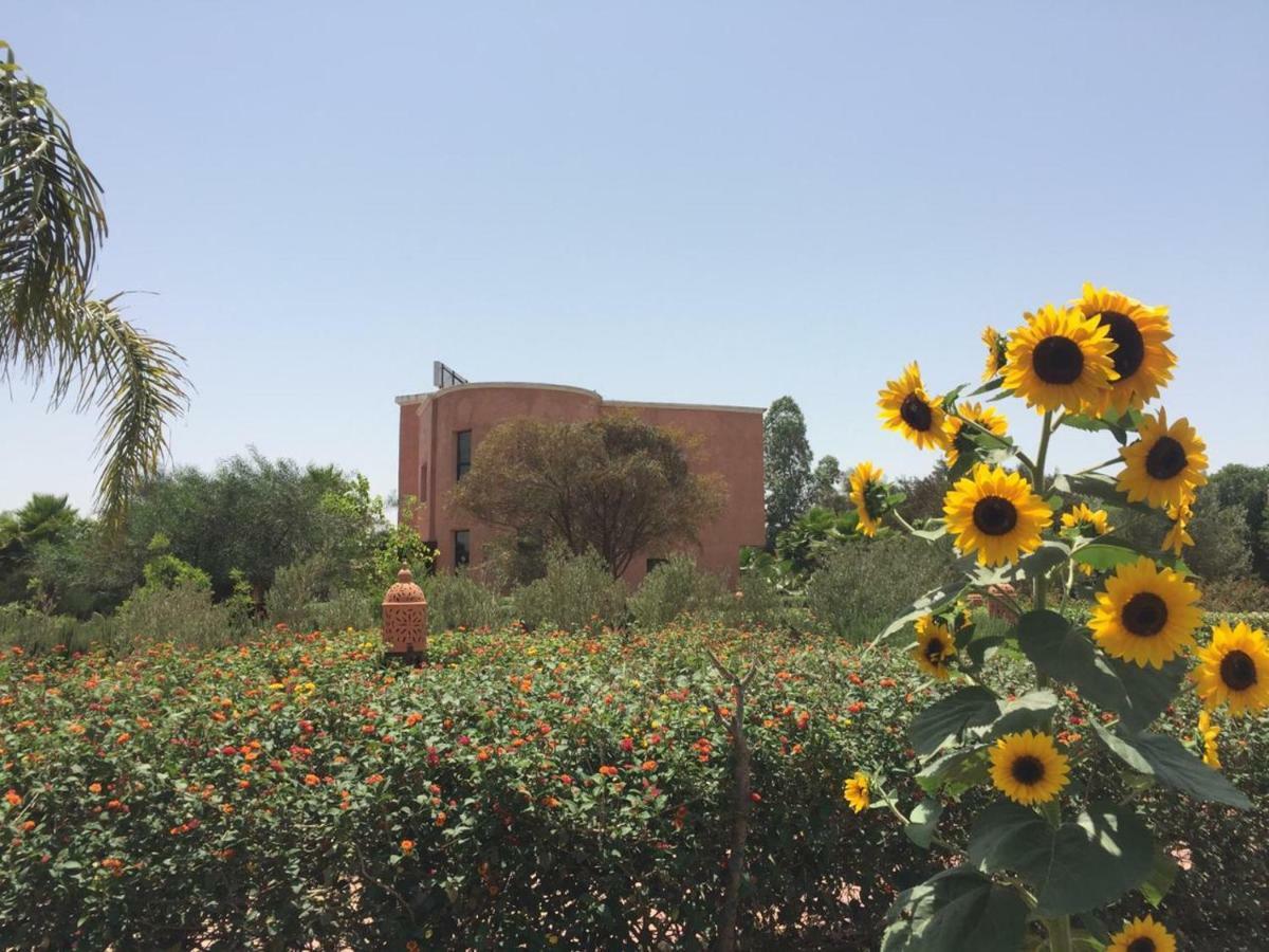 Riad Hamdani Derroua Bagian luar foto